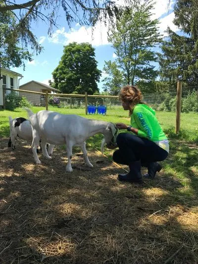 Volunteer at the sanctuary