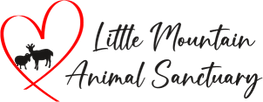 Little Mountain Animal Sanctuary